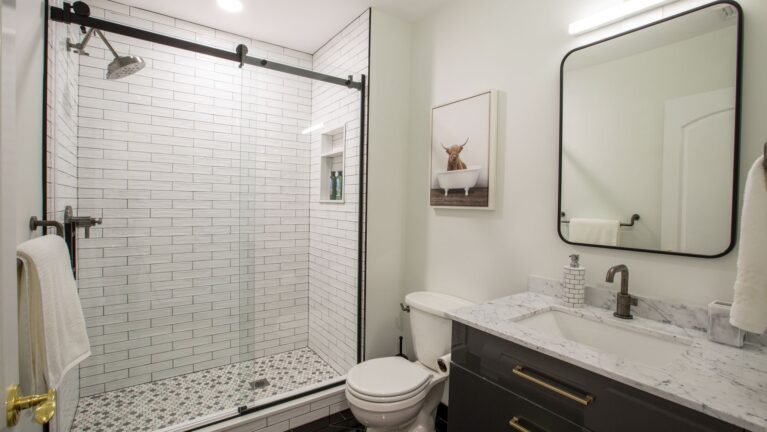Eclectic Basement Bath, Livingston, NJ