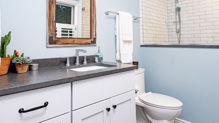 Guest Ensuite Bathroom Remodel in Byram NJ